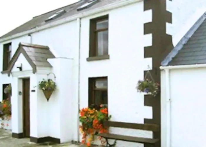 Authentic Irish Cottage, Rural Ballymascanlon Hébergement de vacances